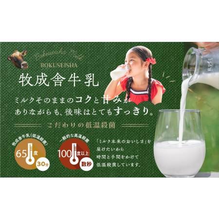 ふるさと納税 明治30年創業の牛乳屋　牧成舎の低温殺菌牛乳[A0086] 岐阜県飛騨市