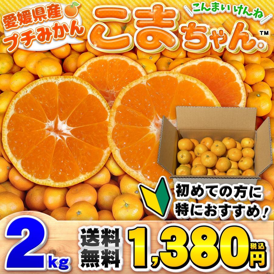 小玉みかん こまちゃん お試し用 2kg 愛媛県産 小玉 みかん 家庭用 訳あり 愛媛みかん 送料無料 プチ 小粒 2S 3S 箱買い 蜜柑 温州 早生 南柑 20号 SS 2キロ