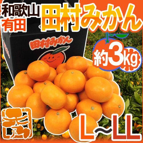 みかん 和歌山有田産 ”田村みかん” 秀品 L〜LL 約3kg 化粧箱 送料無料