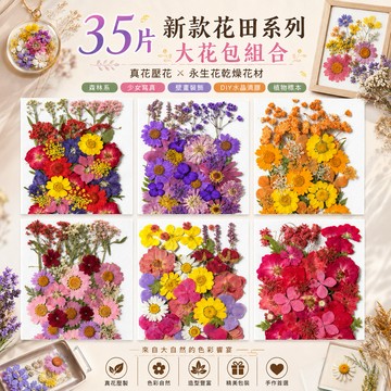 35片新款花田系列 大花包組合 真花壓花 永生花 森林系 少女寫真 壁畫 DIY水晶滴膠 乾燥花 植物標本