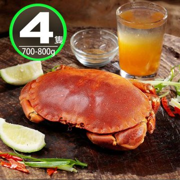 華得水產 英國野生爆卵麵包蟹4隻(700-800g/隻)