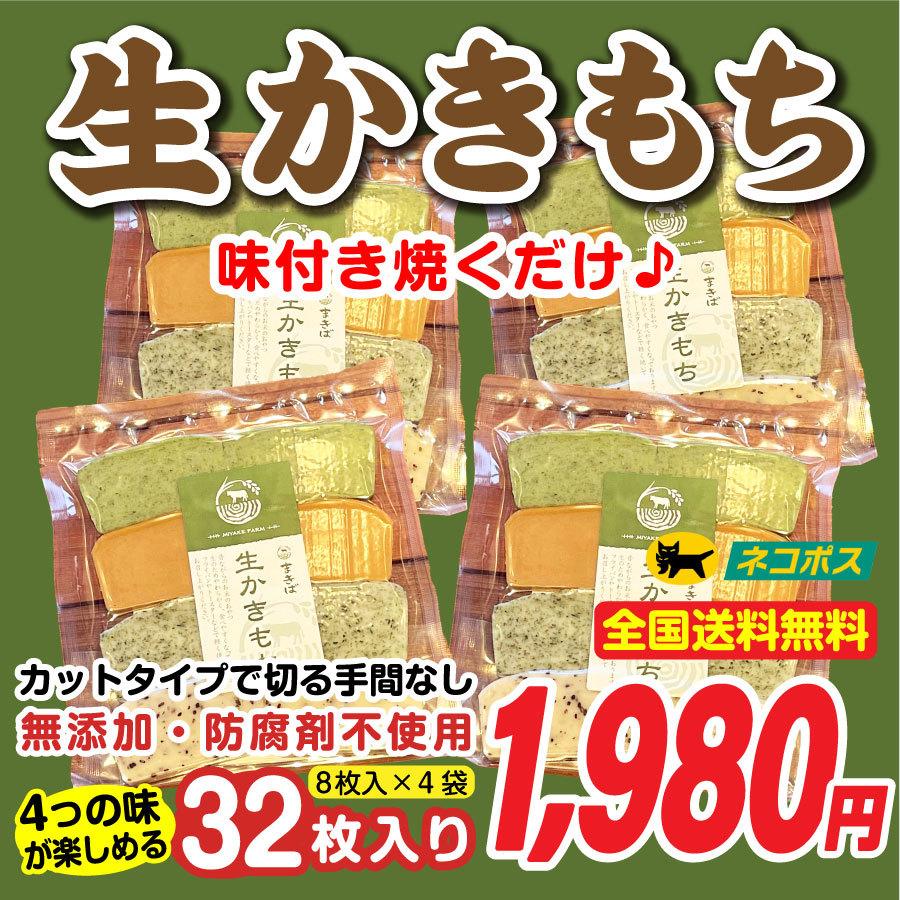 生かきもち　32枚入（8枚入り×４袋）※ネコポス便　送料無料