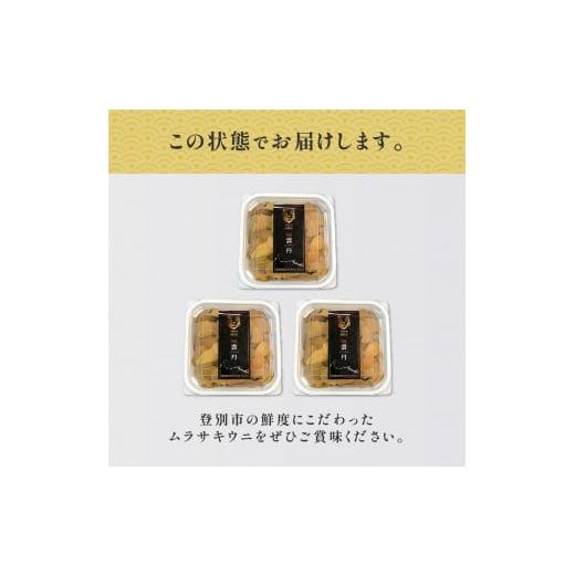 ふるさと納税 北海道 登別市 ≪規格外品≫キタムラサキウニ1kg（100gパック入り×10個）※2024年6月下旬よりお届け