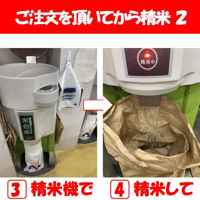 埼玉県産コシヒカリ5kg 精米 道の駅おかべ