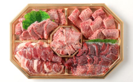  おおいた和牛 ・ 九重夢ポーク 食べ比べ 定期便 セット 牛肉 豚肉 大分県産