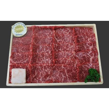 ふるさと納税 神戸牛 焼肉 食べ比べ 2種 1kg 肩 モモ 500g×2 Bセット 焼肉セット 焼き肉 牛肉 和牛 焼肉用 キャンプ BBQ アウトドア バーベ.. 兵庫県加西市