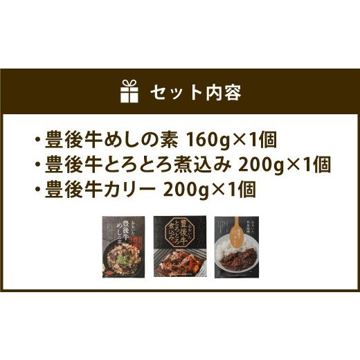 ふるさと納税 大分県 豊後大野市 013-309 おおいた 豊後牛 シリーズ 3種セット 牛めし カレー レトルト