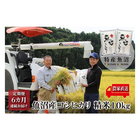 ふるさと納税 農家直送！ 魚沼産 コシヒカリ 精米 10kg （ 5kg × 2袋 ） 6ヶ月 連続お届け（ 米 定期便 6か月 こしひかり お米 こめ コメ .. 新潟県魚沼市