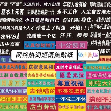 熱門趣味惡搞網絡熱詞標語貼紙個性筆記本電腦滑板吉他機車貼防水