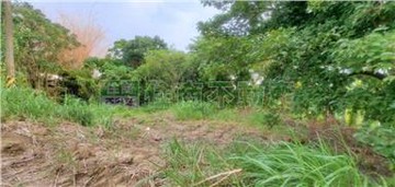 左鎮區公所202丙建｜台南市左鎮區左鎮