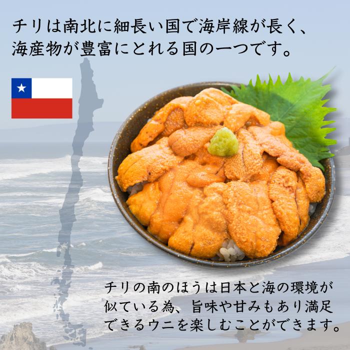 生うに いくら セット「うに丼75g×1、いくら70g×1」新鮮な天然生ウニとイクラを厳選！お取り寄せグルメ