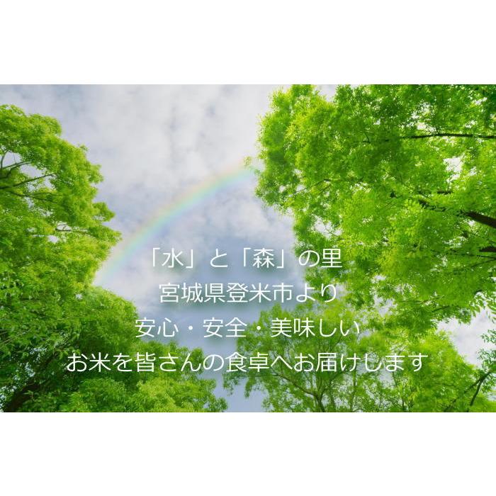 令和4年産／売り尽くし 桜並木と雪景色をイメージした オリジナル袋2種 ひとめぼれ10kg (5kg×2) 無洗米 送料無料 宮城県 登米産 ・沖縄県送料2000円