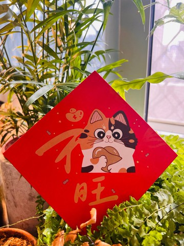 插畫春聯  旺  福貓