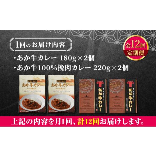 ふるさと納税 熊本県 山都町 熊本県産 あか牛 カレー詰め合わせセット 計4個 カレー 2種 各2個 熊本和牛[YCG097] 1…