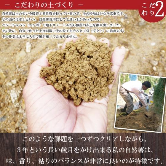 自然薯 じねんじょ 静岡県産 お徳用じねんじょ 約350ｇ