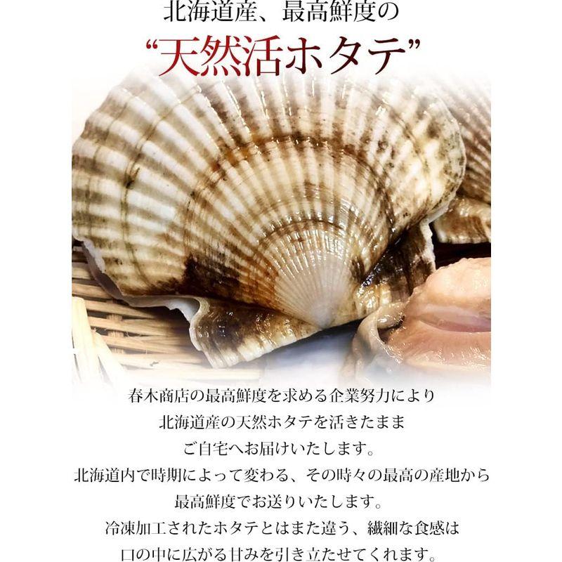 貝類 天然活ホタテ 約3kg 約12〜18枚 北海道産 春木商店 ほたて シーフード 海鮮 グルメ