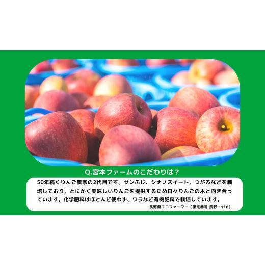 ふるさと納税 長野県 飯綱町 りんご サンふじ 訳あり 10kg 令和5年度収穫分 沖縄県への配送不可 2023年12月上旬頃から2024年1月中旬頃まで順次発送予定 宮本フ…