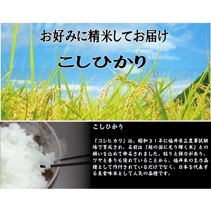 玄米仕立　福井県産 新米コシヒカリ こしひかり 令和2年産 玄米5ｋｇ お好みに精米してお届け