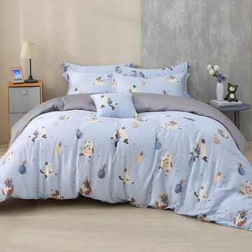 鴻宇 HongYew - 雙人特大床包枕套組 300織100%天絲 萊賽爾-喵喵里歐