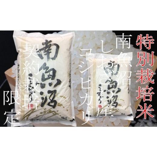 ふるさと納税 新潟県 南魚沼市 特別栽培 生産者限定  南魚沼しおざわ産コシヒカリ