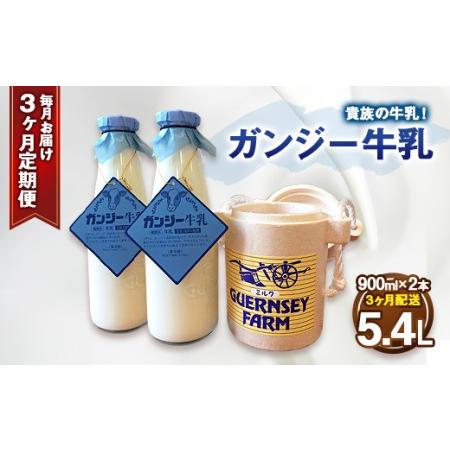 ふるさと納税 ガンジー牛乳 100% 900ml 2本セット 3ヶ月 冷蔵 大分県竹田市