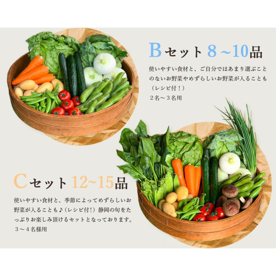 採れたて！ 静岡 野菜セット B 8〜9品目 農家直送 産地直送 詰め合わせ お取り寄せ 旬野菜 新鮮