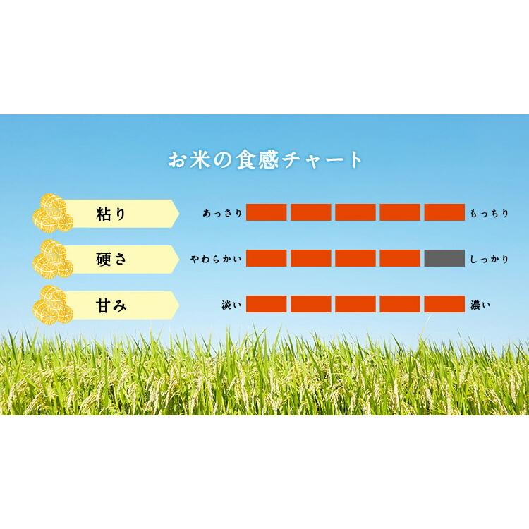 お米 ギフト 米 300g 2合 (2合×6袋) こしひかり 無洗米 富山県産 令和5年産 新米 ひとりくらし応援米 無洗米セット 富山お米 食べ比べ 白米 精米 個包装