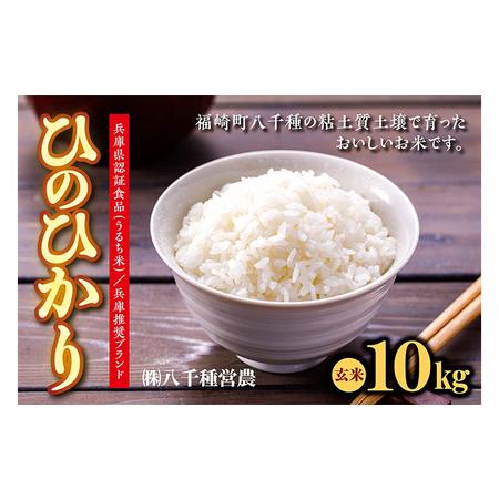 ふるさと納税 兵庫県福崎町産 ひのひかり 八千種米10kg玄米 兵庫県認証食品（うるち米）兵庫推奨ブランド 兵庫県福崎町