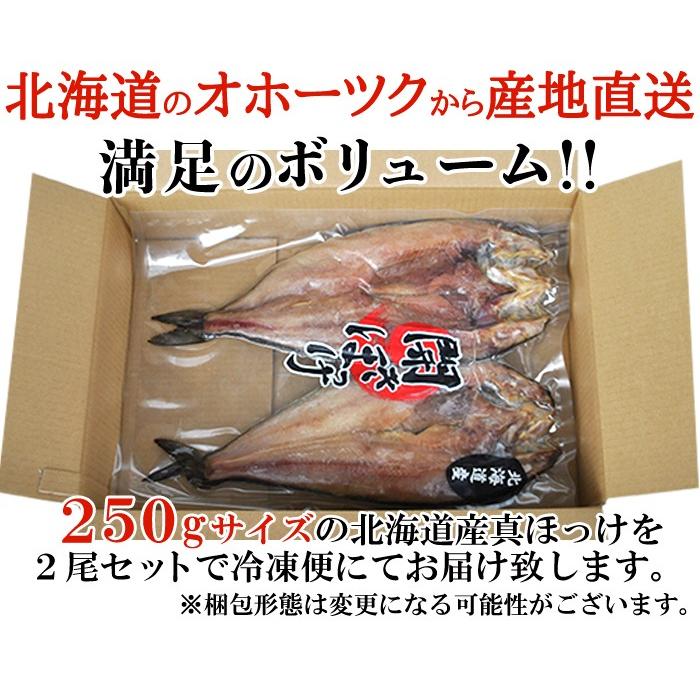 肉厚!!北海道産真ほっけ一夜干し250g×2［冷凍］