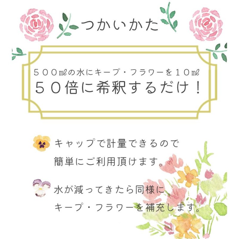 贈り物 キープフラワー ２Ｌ 6本入 業務用<br>お花の資材 花資材 生花 延命剤 切花活性剤 フジ日本精糖 フューネラル フラワーアレンジメント  松村工芸 FKRSL