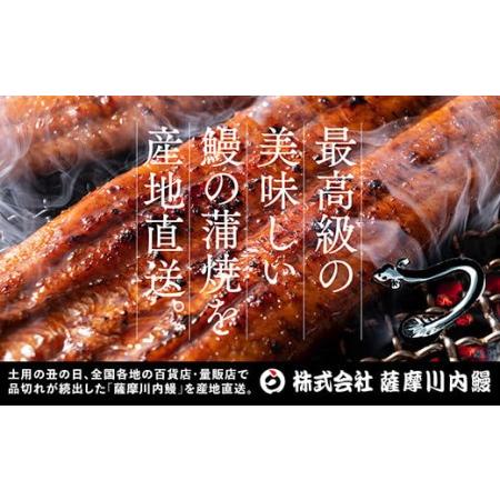 ふるさと納税 AS-039 鹿児島県産うなぎ蒲焼カット 2人前 約150g(約75g×2袋) 鹿児島県薩摩川内市