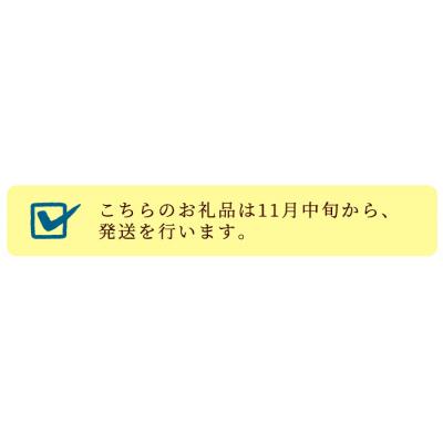 ふるさと納税 いちき串木野市 鹿児島県産黒豚ハムセット(B-24)