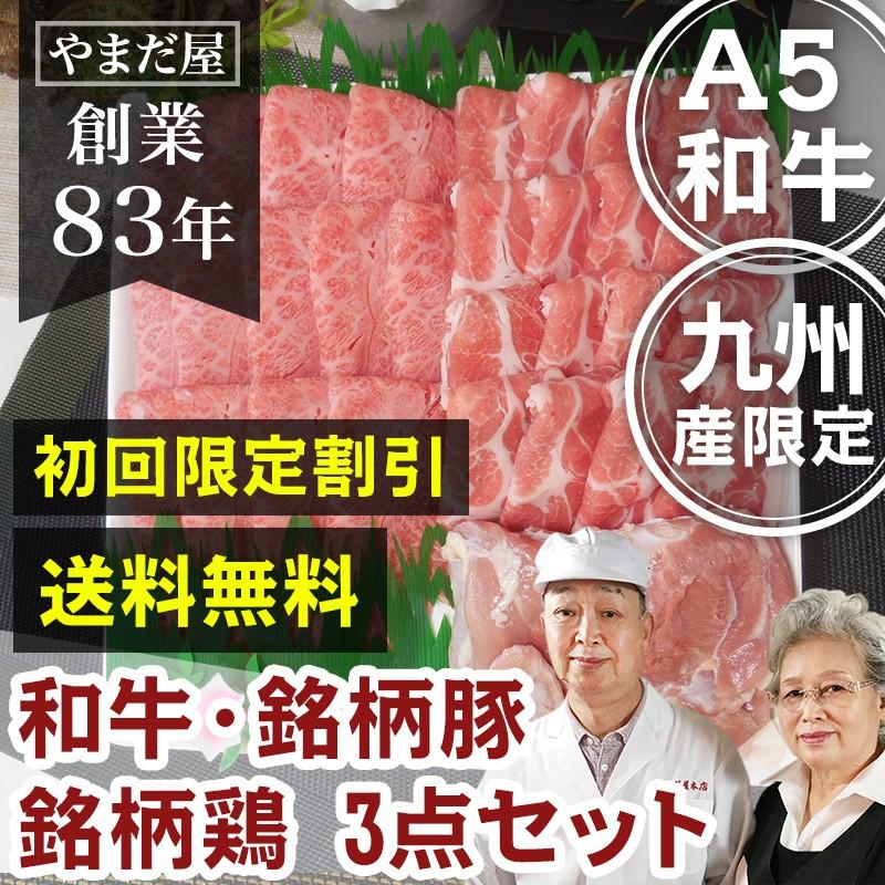 国産 黒毛和牛 和牛 銘柄豚 地鶏 お得な3点セット   初回限定 A5等級 焼肉