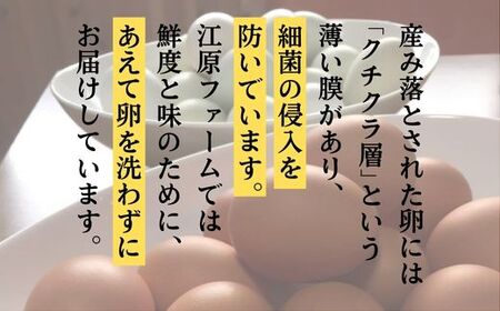 AG06_江原ファーム　体に優しい地養卵（１６０個）〇