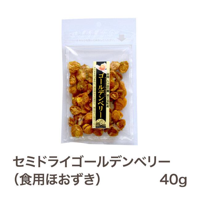 ゴールデンベリー スーパーフード セミドライフルーツ40g 農薬不使用 無添加 国産 長野県富士見町産