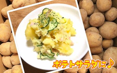 美味しいジャガイモ　はりまる  兵庫県産 3kg