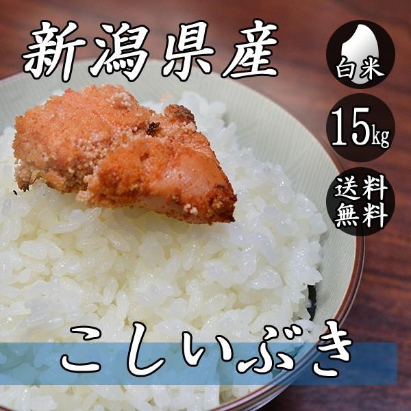 お米 15kg 新潟産 こしいぶき 5kg×3袋 送料無料 令和5年産 米 白米