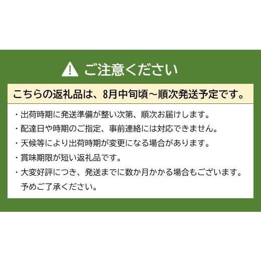 ふるさと納税 福岡県 八女市 豊水梨（5kg）｜８月中旬〜下旬発送予定