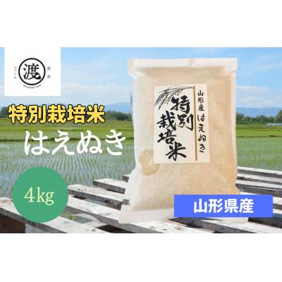 ふるさと納税 高畠町 特別栽培米　はえぬき 4kg(2kg×2)