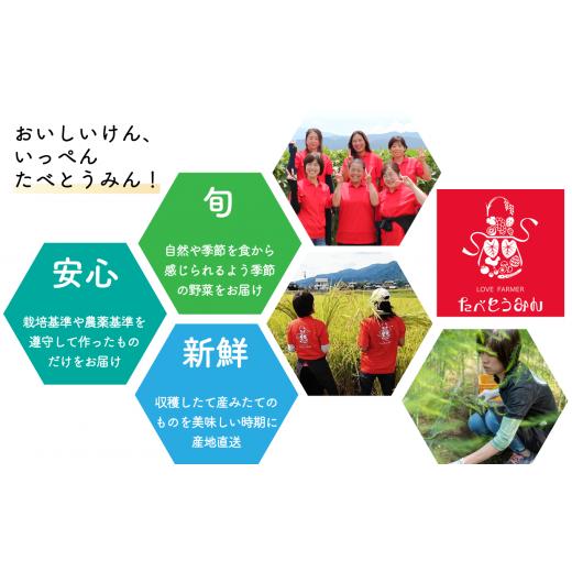 ふるさと納税 愛媛県 四国中央市 旬菜Box C