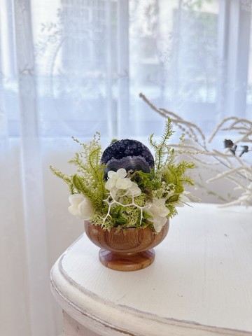 烏拉圭開口笑 紫水晶。小太陽 日日東昇 永生綠植栽