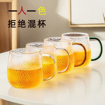 憶壺茶玻璃杯家用水杯子套裝透明簡約茶杯帶把牛奶杯客廳喝水杯