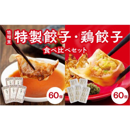 ふるさと納税 宮崎県 宮崎市 悠瑠里特製餃子60個鶏餃子60個 食べ比べセット_M293-006