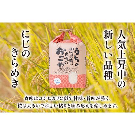 ふるさと納税 令和5年度 にじのきらめき 5kg×1袋 [1435] 岐阜県本巣市