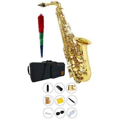 アルトサックス 初心者セット入門用 E Saxophone 吹奏楽 11点セット