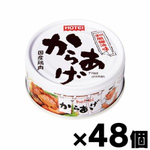 ホテイ　からあげ和風醤油味　45ｇ×48個　4902511011871*48