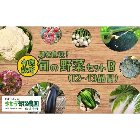 ふるさと納税 A-553 旬の野菜セットＢ 12~13品目 有機栽培 オーガニック 農家直送 野菜 さとう有機農園 おまかせ 旬野菜 春夏野菜 秋冬野菜 葉物.. 大分県宇佐市