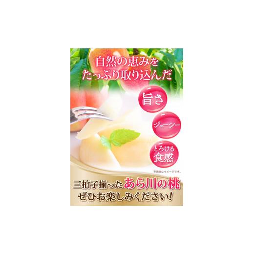 ふるさと納税 和歌山県 紀の川市 和歌山県産 あら川の桃 約4kg(12-15玉入り) お届け時期に合わせた品種を厳選してお届けいたします！《2024年6月中旬-8月中旬…