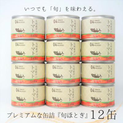 ふるさと納税 松浦市 缶詰工場直送　伝統のさば缶「旬ほとぎ」トマト12缶