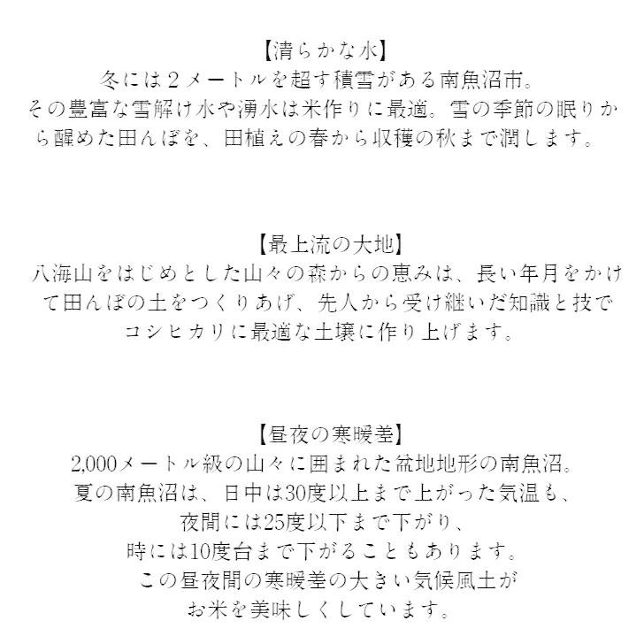 新米 精米 新潟県 魚沼産 コシヒカリ 令和4年産 新米 白米 米 コメ （5kg×1袋）